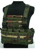 Modular Tactical Vest 