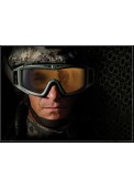 Wolf Slaves Airsoft Tactical Desert Locust goggles Goggle Glasses 