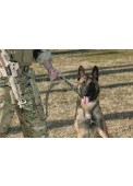 Outdoor Sport Training Dog Strap Tactical Military Dog Sling
