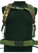 3-D Molle Assault Tactical Backpack-Woodland Camo